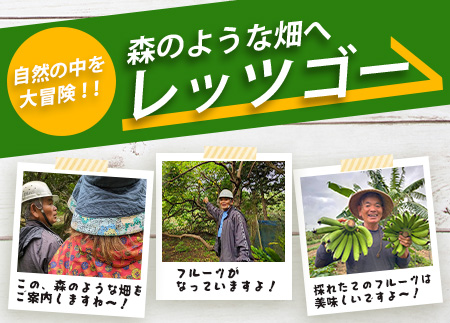 1回1組限定プライベート体験ツアー！農薬を使わない、仲原さんの「森のような畑」 OI-21