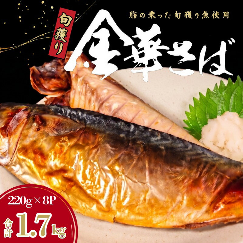 【ふるさと納税】 金華さば フィーレ 約1.7kg （220g×8）サバ 鯖 旬獲り 寒仕込み 完熟 塩さば 塩鯖 フィレ 高級 人気 おすすめ 真空 パック 個包装 肉厚 脂のり ご褒美 惣菜 おつまみ おかず 弁当 人気 グルメ お取り寄せ 送料無料 ふるさと納税魚 千葉県 銚子市 武内商店
