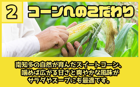 【先行予約 6月下旬から出荷】 スイートコーン 5kg 10～14本 冷蔵 国産 とうもろこし 先行予約 数量限定 コーン 野菜 新鮮 焼き 蒸し 産地 直送 甘い 甘口 子ども 子供 小分け 種子 