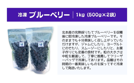 ブルーベリー 冷凍 2袋 (500g✕2) 計 1kg | ブルーベリー ブルーベリー ブルーベリー ブルーベリー ブルーベリー ブルーベリー ブルーベリー