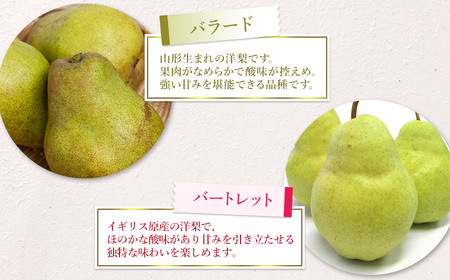 【令和7年産 先行予約】山形県鶴岡市産 洋梨定期便　3種類の洋梨をお届け　約3kg×3回 品種おまかせ　庄内産直センター