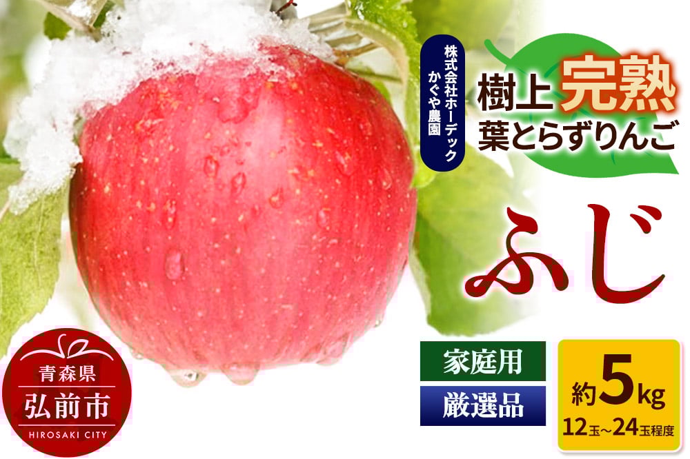 
            りんご ふじ 約5kg（12玉～24玉程度）樹上完熟葉とらず【家庭用】厳選品 青森県産 りんご
          