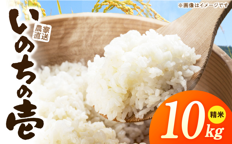 R7年産　「いのちの壱」（10kg）＜農家直送＞ 希少米 10kg 米 精米 白米 ご飯 国産 産地直送 甘い 粘り強い もちもち お取り寄せ こだわり米 愛知県 小牧市 送料無料