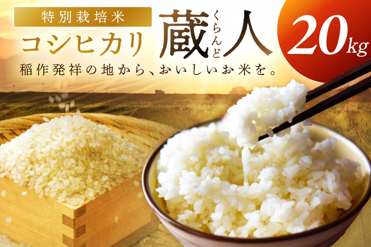 
                  令和8年産 特別栽培米コシヒカリ 蔵人（くらんど） 精米20kg 特別栽培米 コシヒカリ 蔵人 おこめ 京都産 ふるさと納税 精米 ふるさと納税 コシヒカリ こしひかり　GF00025
                