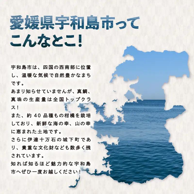 国産はちみつ みかん蜜 500g ギフト箱入 元気や みかん 愛媛みかん mikan 人気ハチミツ 国産純粋はちみつ 蜂蜜 はちみつ ハチミツ ハニー honey 非加熱 国産蜂蜜 純粋はちみつ 純粋