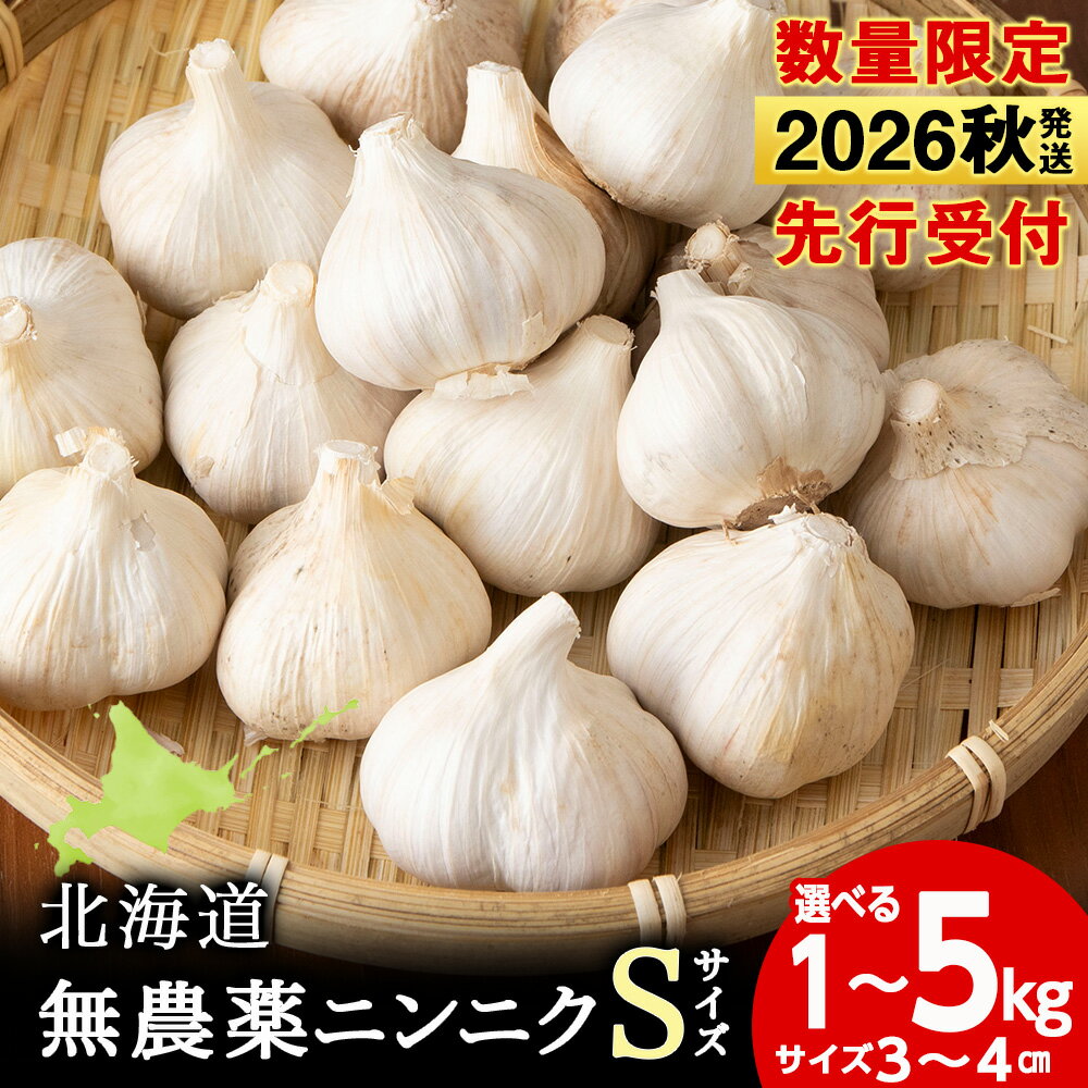 【ふるさと納税】【数量限定】無農薬ニンニク “Sサイズ” 選べる1kg〜2kg 1袋500g 無農薬 にんにくガーリック北海道ふるさと納税 積丹町 ふるさと納税 北海道 野菜 にんにく 北海道産 大蒜