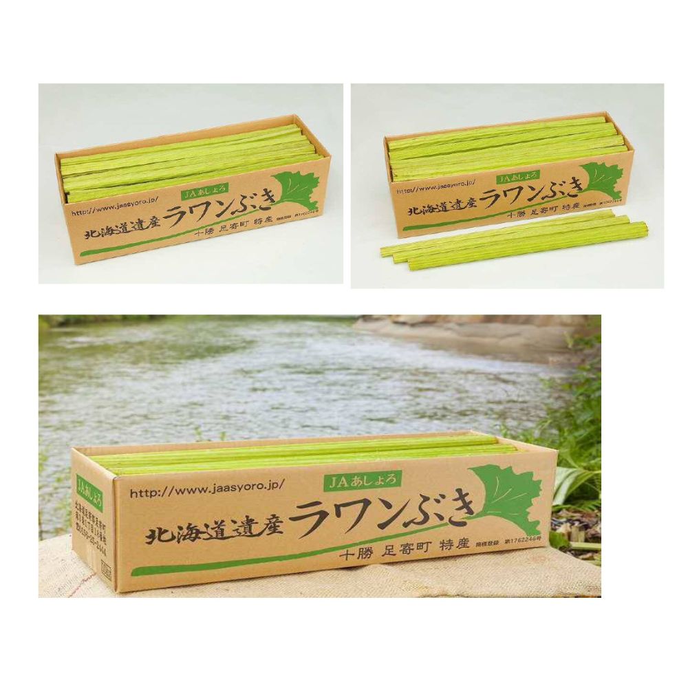 【ふるさと納税】【先行予約】北海道足寄町産 生ラワンぶき 3kg【6月上旬以降発送】足寄町/足寄町農業協同組合 [BEAB011]