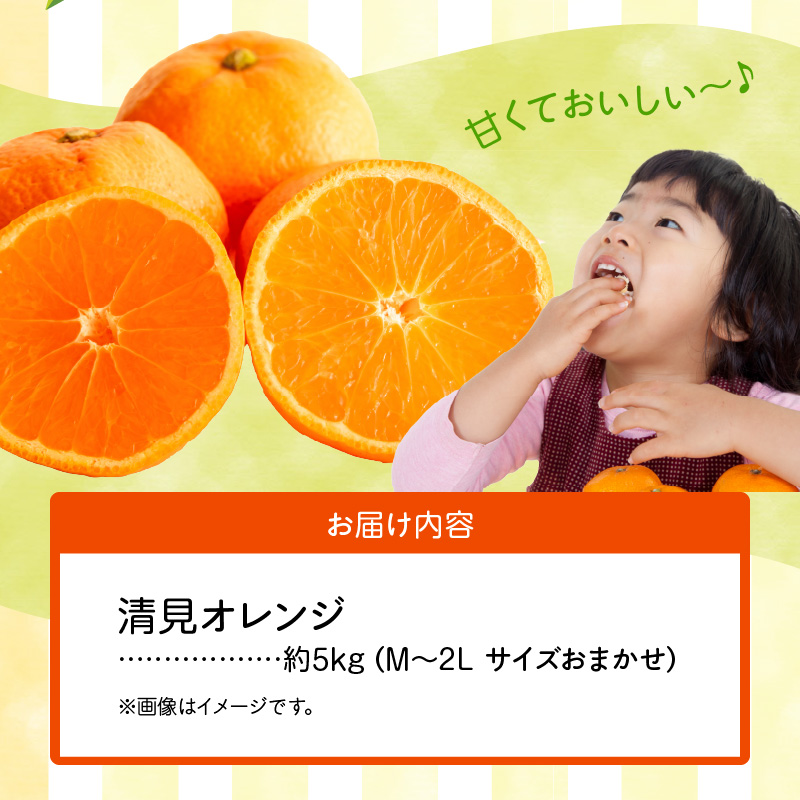 ZN6001n_和歌山県有田産 完熟 清見オレンジ 5kg ひとつひとつ丁寧に厳選！生産者から直送