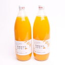 【ふるさと納税】とろり　みかんネクター720ml×2本 | フルーツ 果物 くだもの 食品 人気 おすすめ 送料無料