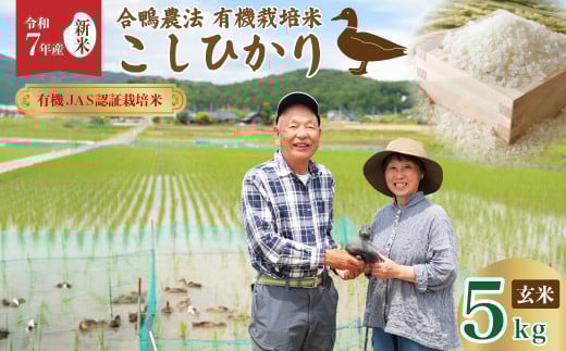 【令和7年産 新米 】オーガニック あいがも 有機栽培米 コシヒカリ 合鴨常陸青龍米 玄米 5kg｜有機JAS認証 有機栽培米 有機栽培 有機米 森 ミネラル 水 山田川 安全 安心 美味しい 米合鴨農法 健康 自然環境 負荷かけない リサイクル 農業 コシヒカリ 常陸太田市 人気 敬老の日 茨城県 常陸太田市