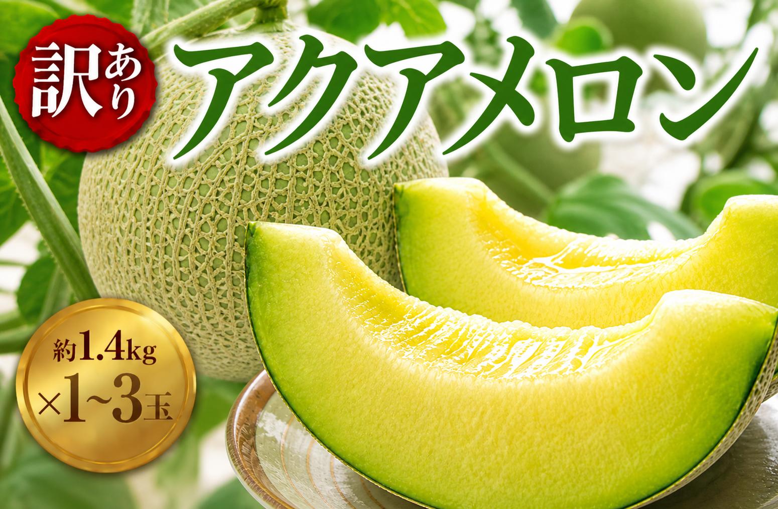 
                  訳あり 千葉 アクアメロン 約1.4kg（ L玉 ） × 1玉~3玉 メロン めろん meron マスクメロン ますくめろん 果物 くだもの フルーツ ふるーつ L玉 Lサイズ 大玉 甘い 温室 温室メロン ジューシー 果肉 デザート おやつ 高糖度 アールスメロン 戸田メロン 千葉 東金
                