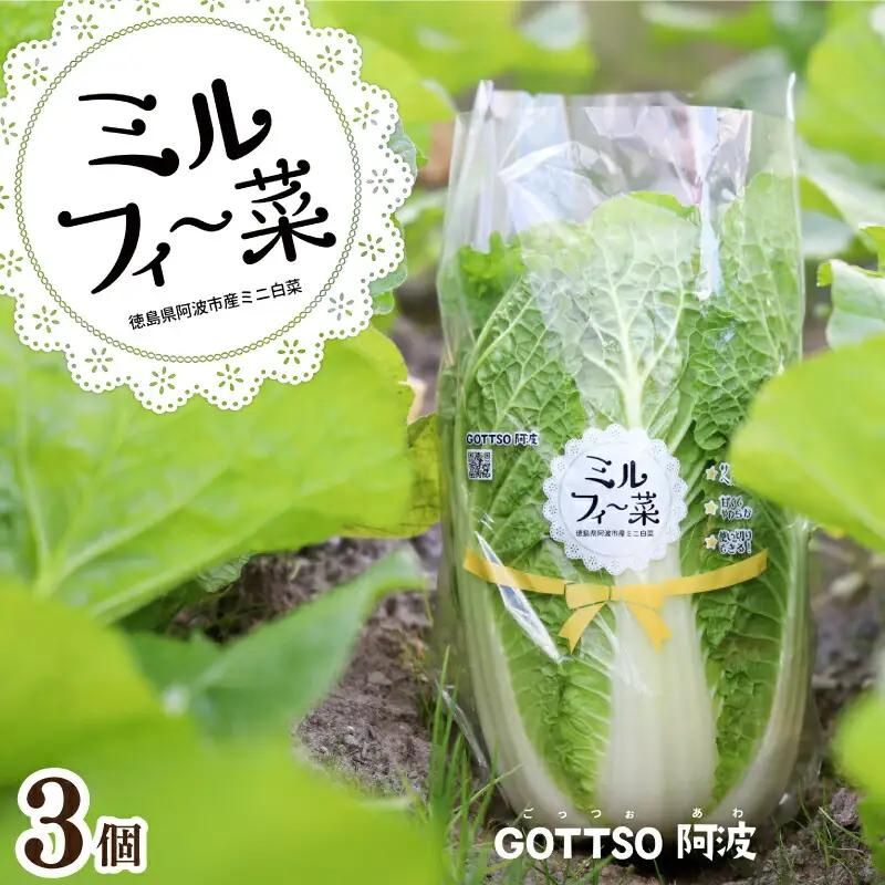 ミニ白菜 ミルフィ〜菜 3個セット 白菜 はくさい 野菜