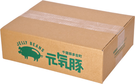 【毎月定期便】元気豚 大粒肉焼売セット 42個セット(計2.1kg)全9回_惣菜・加工品 シュウマイ    定期便 定期便  _【配送不可地域：離島・沖縄県】 TAKB065