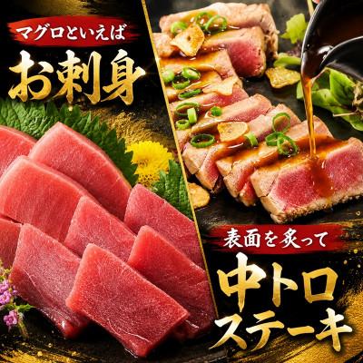 ふるさと納税 松阪市 国産本まぐろ (赤身・中トロ) 短冊セット 600g以上 (150g以上×4本) |  | 01