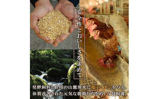 鹿児島県産！健康電子卵(計80個・10個入り×8P、M~Lサイズ)電子イオンを与えた水と飼料で体質改善された親鶏から生まれた新鮮なタマゴ！小分けパック入り【峯元養鶏】【A-1052H】