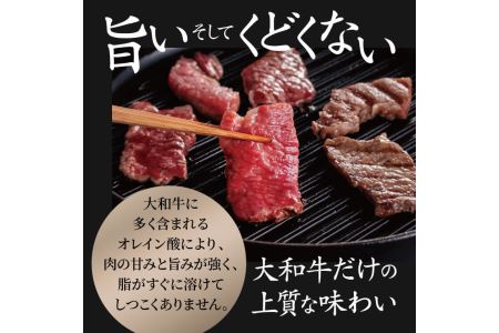 希少和牛 大和牛焼肉セット 【年末年始12月26日?1月7日の着日指定不可】牛肉 特選和牛 特上肉 ロース 肉 焼肉 黒毛和牛 牛肉  焼き肉 上カルビ 上質霜降り ロース肉 カルビ 特上和牛 大和牛