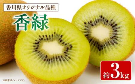 香川県オリジナルキウイフルーツ「香緑」約3kg【香川県共通返礼品】_mk059-025