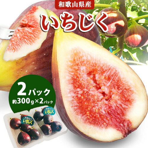 【ふるさと納税】【先行予約】いちじく (300g×2パック) FARMER'S FARMER《2025年8月上旬-11月上旬に出荷予定(土日祝除く)》和歌山県 紀の川市 いちじく イチジク フルーツ 送料無料