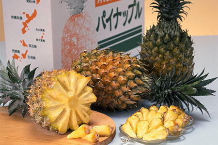 【予約受付】【農林水産大臣賞受賞】當銘さんグループのスナックパイン２．２ｋｇ（２玉～５玉）【2026年4月20日より順次発送予定】YK-2 