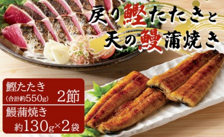 土佐料理司 戻り鰹たたき・天の鰻蒲焼き【戻り鰹 鰹たたき 鰻 高知産鰻 うなぎ かつお】 tr-0013