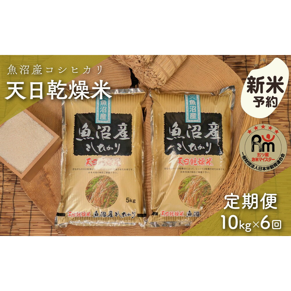 【ふるさと納税】【新米予約】【毎月定期便】令和7年産「五つ星お米マイスター」厳選　天日干し魚沼産コシヒカリ　精米10kg（5kg×2個）×6回 | お米 こめ 白米 食品 人気 おすすめ 送料無料