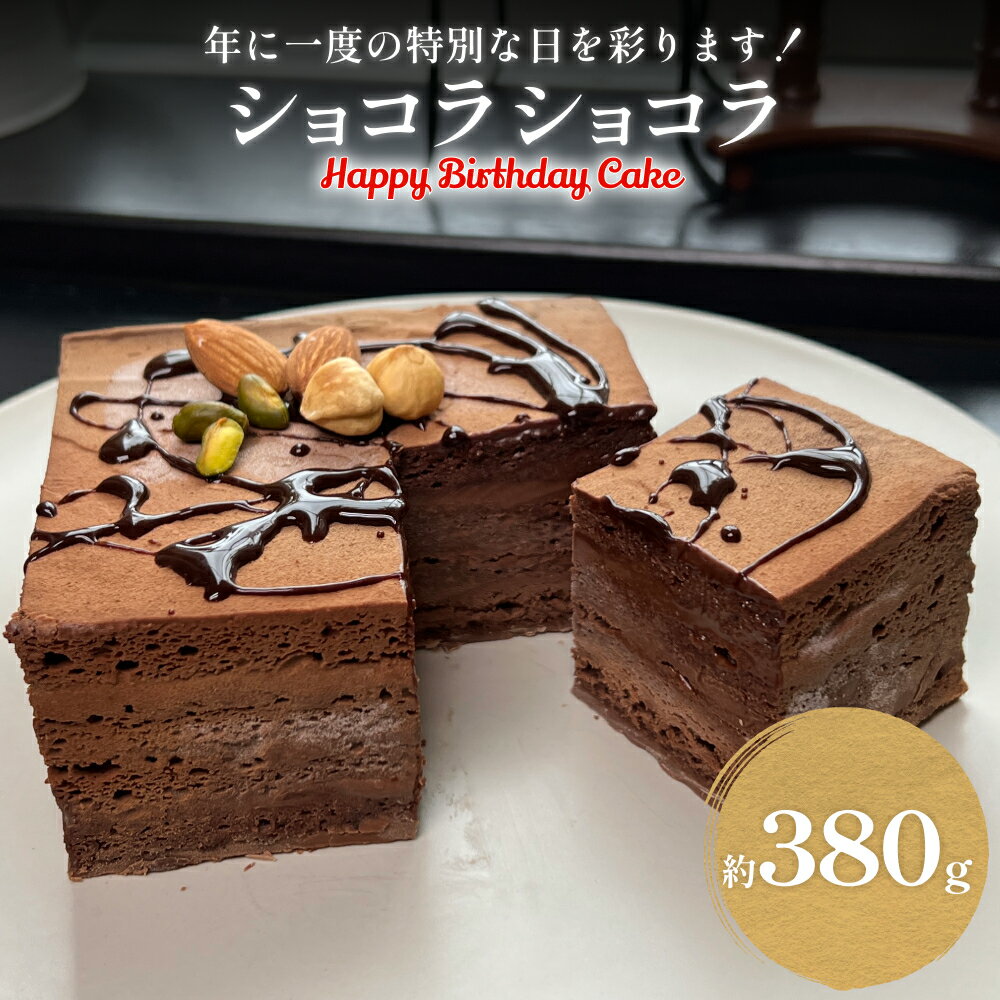 【ふるさと納税】チョコレートケーキ 4号 ショコラショコラ バースデー仕様 ホールケーキ 富山県 氷見市