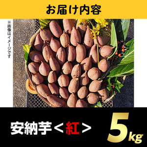 n175【期間限定・数量限定】種子島産 安納芋＜紅＞(5kg)国産 安納芋 紅 種子島 芋 イモ いも さつまいも さつま芋 安納いも 野菜【うずえ屋】