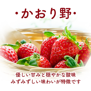 苺 【2月中旬以降発送】 250g×4P 1kg 先行予約 かおり野 苺