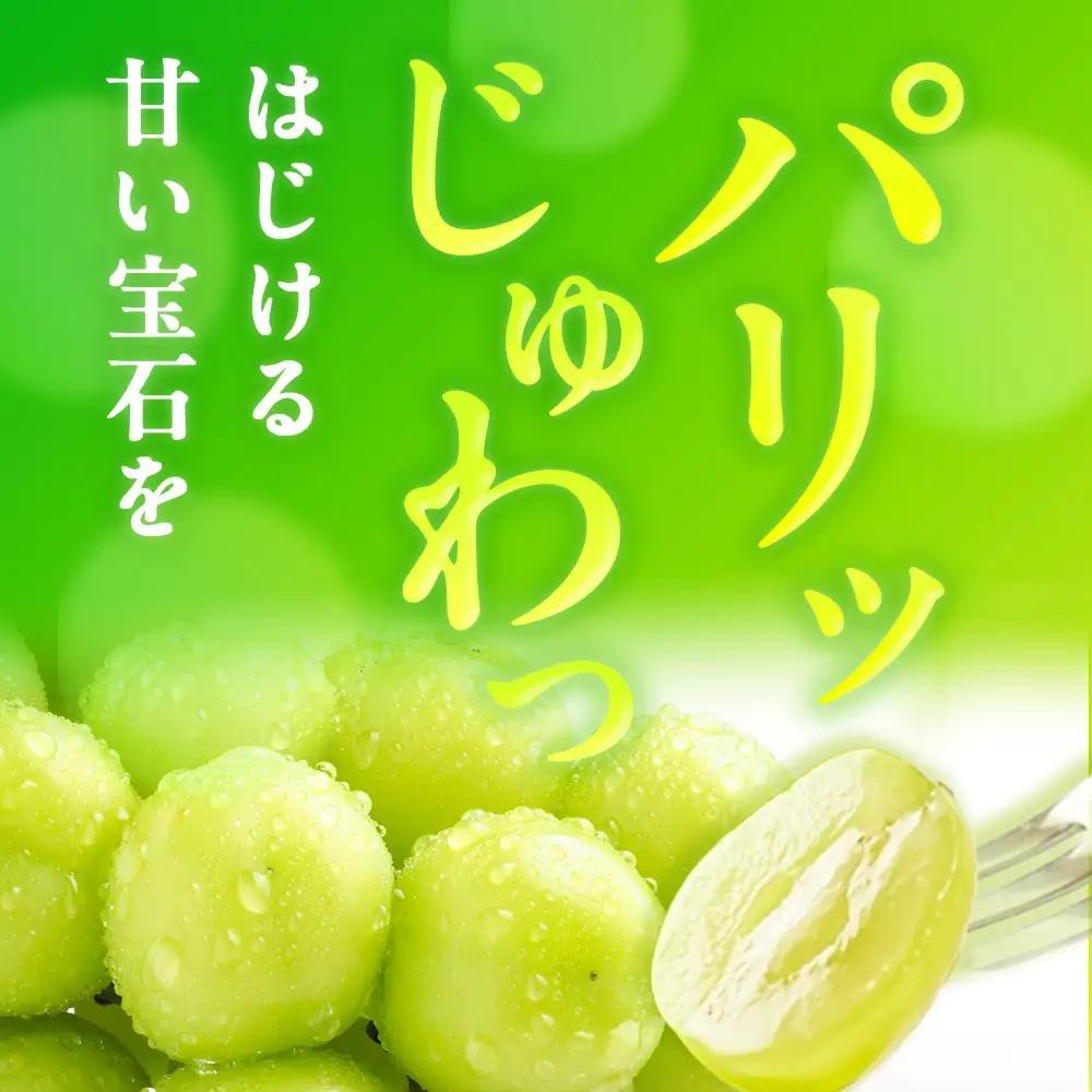家庭用シャインマスカット 2房 合計1.0kg以上 ぶどう 葡萄 桃太郎御一行　岡山県産 2026年【8月中旬頃発送】