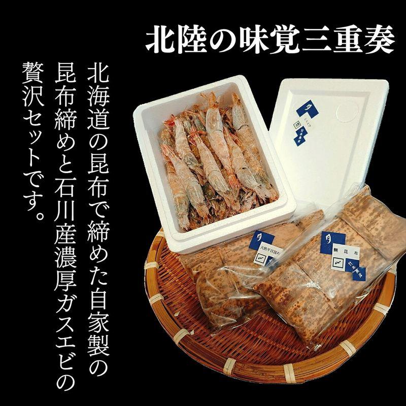 ふるさと納税 小松市 ガス海老・昆布〆詰合せ えび エビ 昆布じめ 詰め合わせ 冷凍便 【株式会社竹本商店】 |  | 01