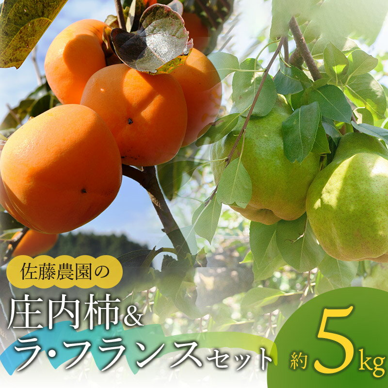 【ふるさと納税】【令和7年産先行予約】庄内柿 M〜L＆ラ・フランス2L〜3Lセット　合計約5kg（各2.5kg ）