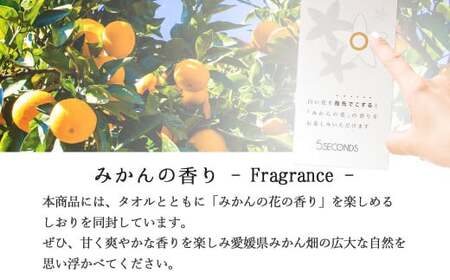 今治タオル TOWEL Lovely Princess from EHIME JAPAN バスタオル2枚 ギフトセット 木箱入り ラブリープリンセス 【タオル専科 ５SECONDS】