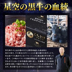 【3か月 定期便】 牛フレーク 星空の黒牛 くちどけフレーク 360g 180g×2袋入 山わさび 80g　| フレーク