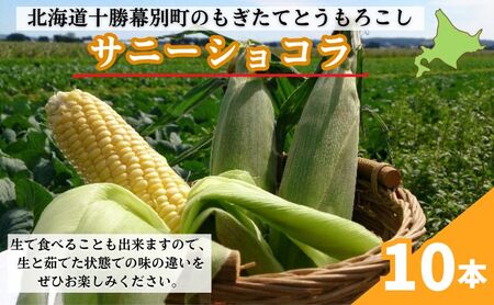 先行予約 2026年 黄とうもろこし 10本 とうもろこし
