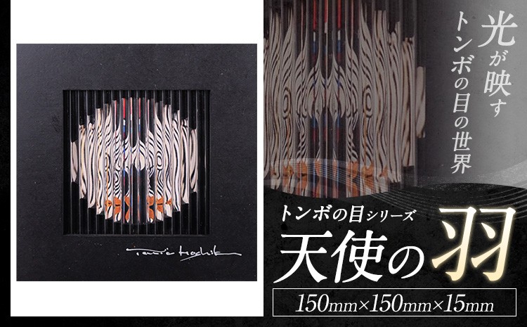 
                  アート作品 トンボの目シリーズ 天使の羽 150mm×150mm×15mm ホシカ・アート・プロ 芸術作品 錯視 アート 芸術品 インテリア 壁掛けパネル
                