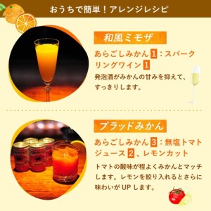 梅乃宿 あらごしみかん ７２０ｍｌ ／ 果肉 たっぷり デザート感覚 つぶつぶの食感 みかん