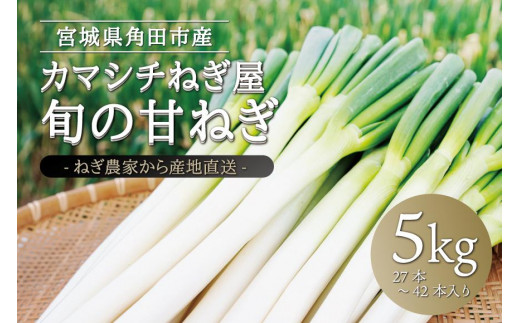 
カマシチねぎ屋 旬の甘ねぎ 5kg（約27本～42本）
