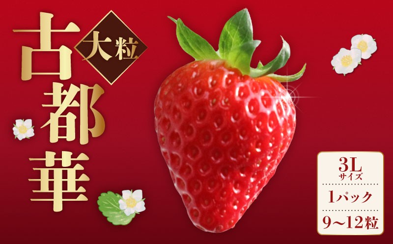 
                  いちご ことか 大粒 9玉以上 1パック 3Lサイズ 2027年発送 古都華 化粧箱 数量限定 苺 イチゴ 季節限定 旬 フルーツ 果物 スイーツ  デザート ストロベリー 甘い ジューシー 数量限定 産地直送 冷蔵 ブランド苺 奈良いちご ならいちご 果肉 プレゼント ギフト 贈答 贈答品 家庭用 お祝い フレッシュ 新鮮 旬 itigo strawberry 奈良県 奈良市 なら めいとく農園
                