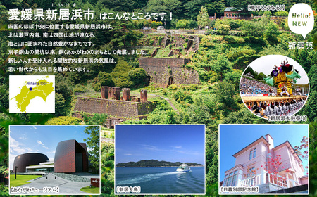 【特別体験返礼品】 新居浜市長 一日体験 お金では買えない ふるさと納税で叶う究極の体験を