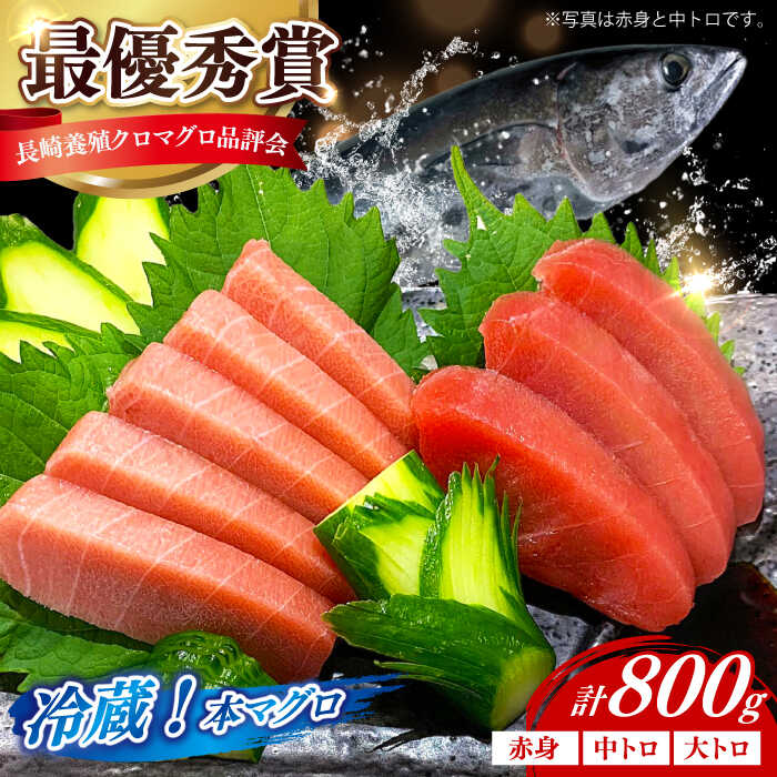 【ふるさと納税】【長崎県養殖クロマグロ品評会最優秀賞！】 五島列島産養殖 生 本マグロ 赤身 中トロ 大トロ 計約800g マグロ まぐろ 鮪 刺身 ブロック 冷蔵 【上五島町漁業協同組合】[RBN017]