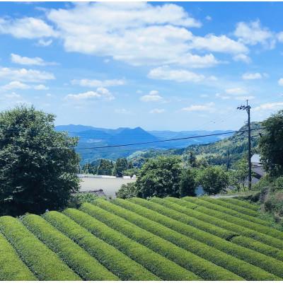 ふるさと納税 山鹿市 上質茶『山鹿市名産 岳間茶』2袋ギフトセット |  | 03