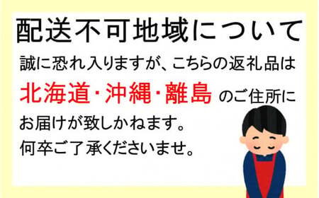 先行予約 すもも（フランコ）4kg ※6月中旬～7月中旬頃に順次発送予定【期間限定・2025/6/20まで】 / スモモ お取り寄せ 期間限定 夏 フルーツ 果物 サンタローザ 和歌山県 田辺市 【m