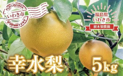 
                  【先行予約】梨（ 幸水 ）約 5kg 梨 なし nashi nasi 先行予約 数量限定 フルーツ 果物 産地直送 限定品 贈り物 新鮮 お取り寄せ デザート ギフト 風味豊か 香り 上品 地域 甘い 限定 果樹 果樹園 根本果樹園 福島県 いわき市 ふるさと納税 おすすめ 
                
