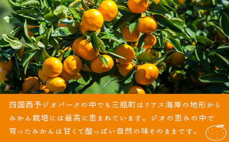 ＜温州みかん 約5kg＞ 柑橘 みかん ミカン 蜜柑 果物 くだもの フルーツ オレンジ うんしゅうみかん 国産 愛媛県産 特産品 おれんじはーと 食べて応援 西宇和 愛媛県 西予市 【常温】『202