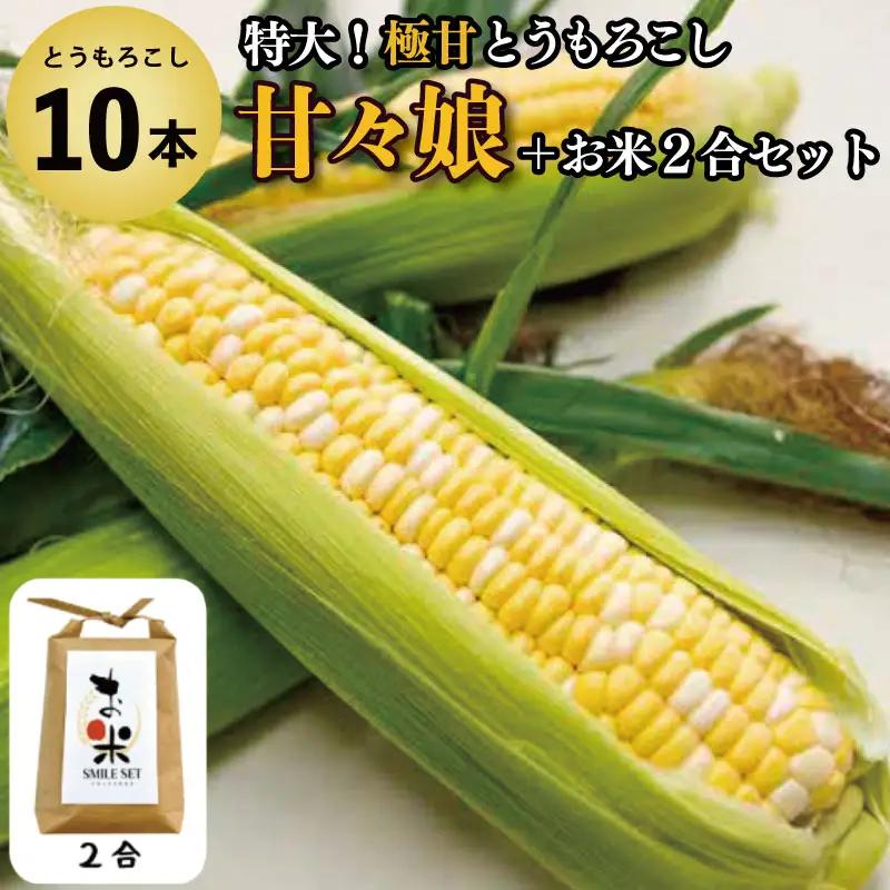 とうもろこし 甘々娘 10本 米 2合 セット 先行予約 とうもろこし 米
