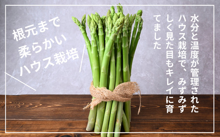 アスパラガス 朝採れ！新鮮！訳ありグリーンアスパラガス B品 1kg | アスパラガス アスパラガス アスパラガス アスパラガス アスパラガス