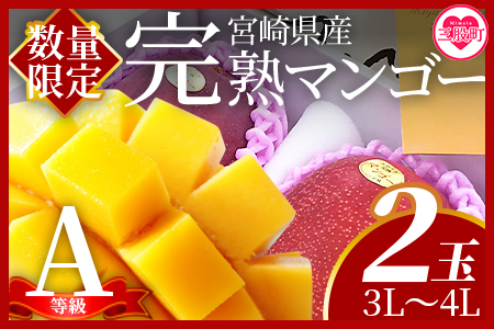 ＜【期間数量限定】2025年5月より順次発送 宮崎県産完熟マンゴー3L〜4L 2玉化粧箱入＞(2玉入り)【 B-0602-yk-x1】【みまたんよかもん協同組合】マンゴー フルーツ デザート 甘い 果物 くだもの 季節限定 贅沢