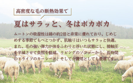 信州上田製ムートン（羊毛皮）一匹物　長毛40mm以上 ベージュ