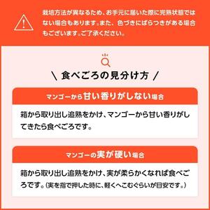 【令和8年発送】宮崎マンゴー 太陽の子３玉（1kg以上） 【 果物 くだもの フルーツ 宮崎マンゴー 】