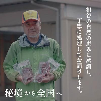 ふるさと納税 三好市 【徳島県三好市祖谷産】祖谷の地美栄 鹿モモブロック(芯玉)500g ×2ブロック 計1kg |  | 03